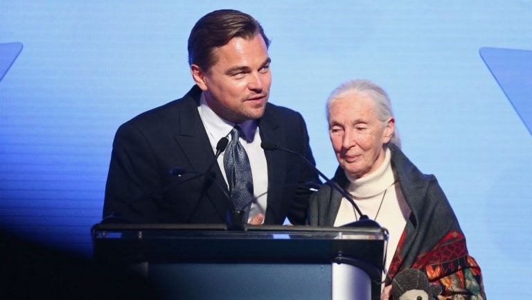 Leonardo DiCaprio and Jane Goodall
